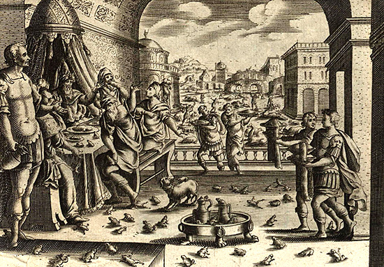 第二の蛙の災い